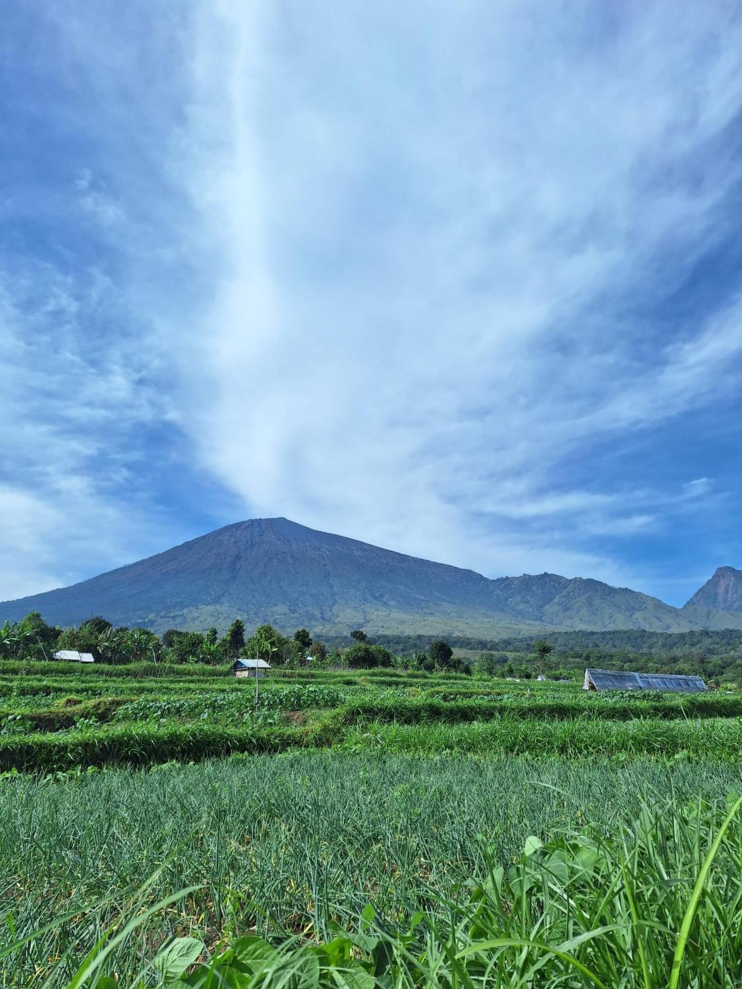 Family Rinjani Bungalow Sajang Exteriér fotografie